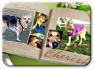 digital storybooks made easy digital storybooks made easy