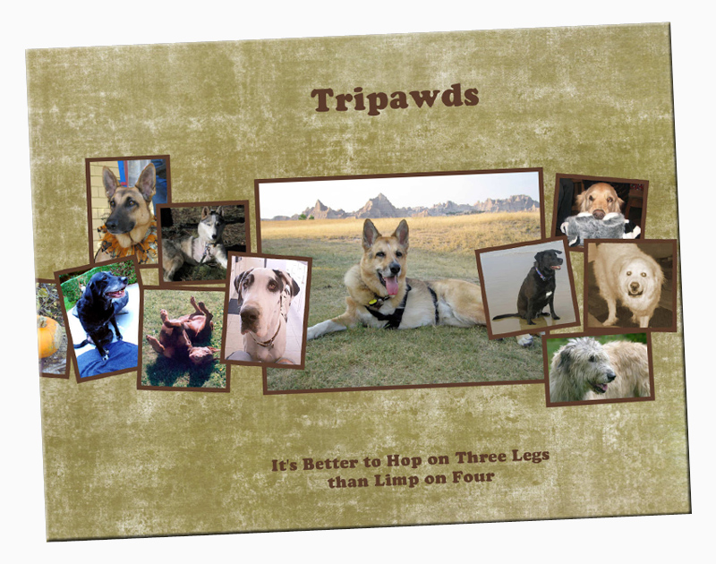 Custom Tripawd Books Now Available!